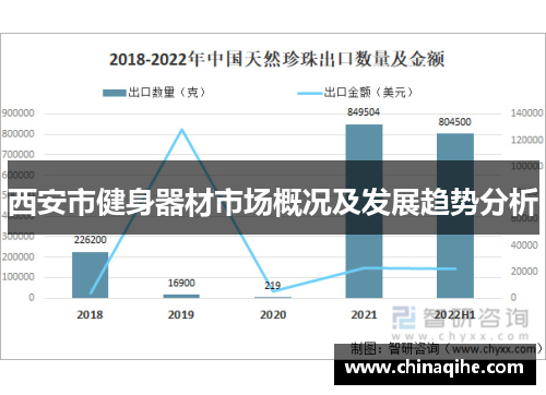 西安市健身器材市场概况及发展趋势分析
