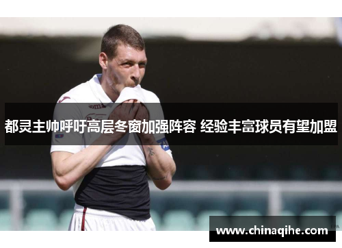 都灵主帅呼吁高层冬窗加强阵容 经验丰富球员有望加盟