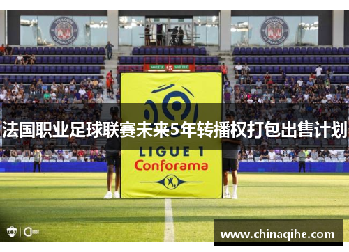 法国职业足球联赛未来5年转播权打包出售计划